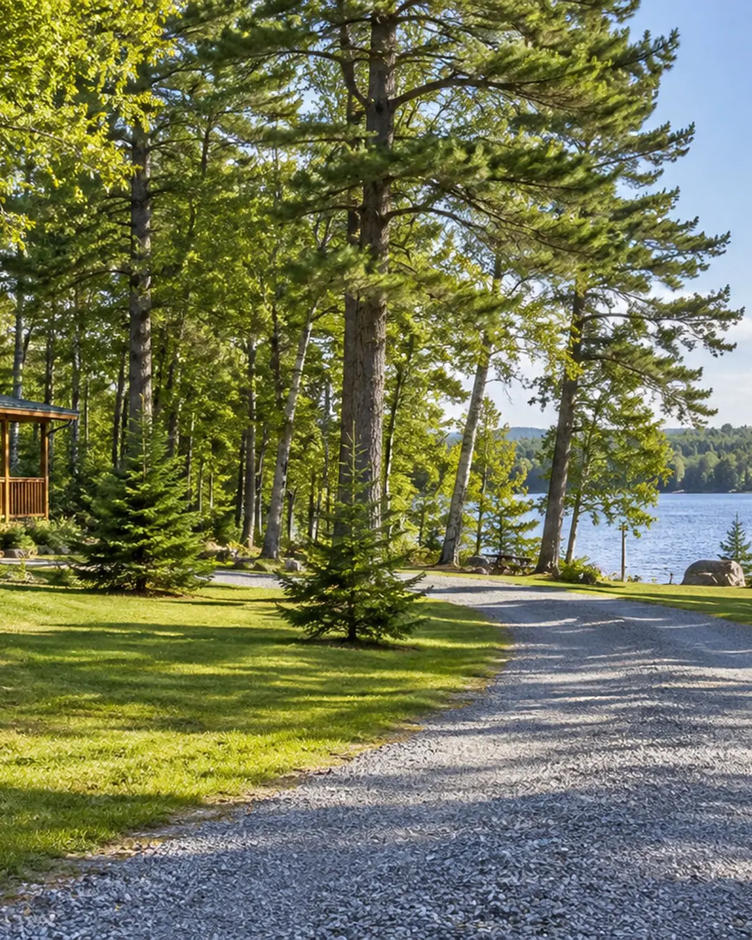 Illustrative maintained lawn, path, and pines near a lake